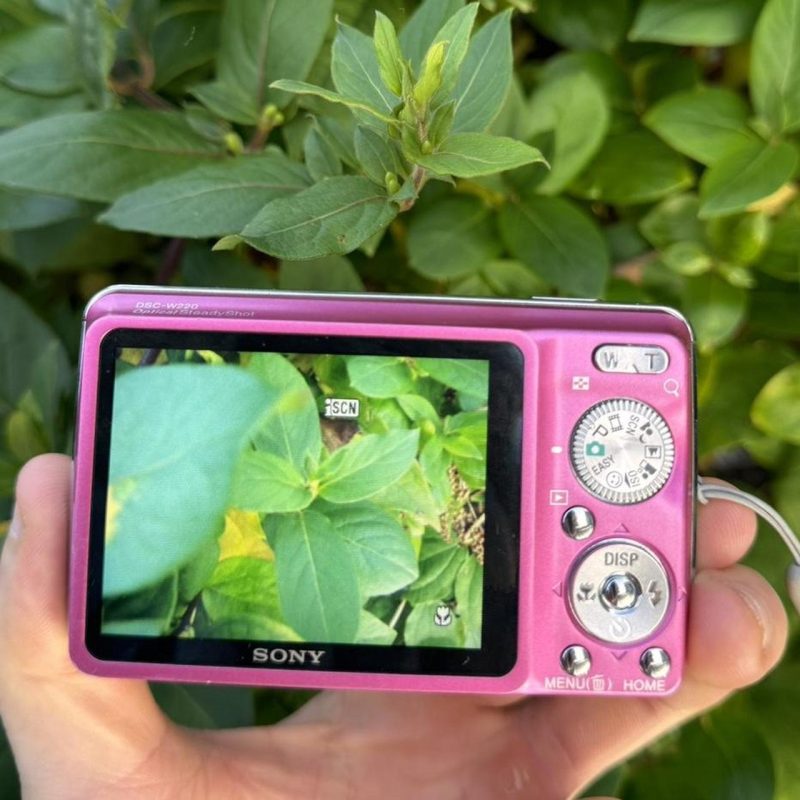 Sony Cybershot DSC W220 12.1 MP Pink - Image 3