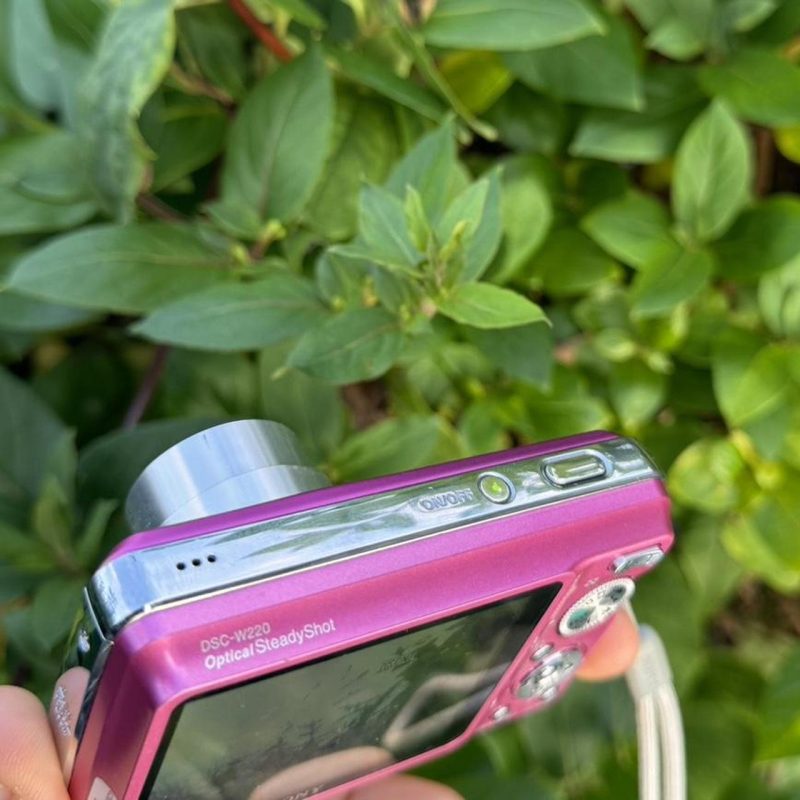 Sony Cybershot DSC W220 12.1 MP Pink - Image 5