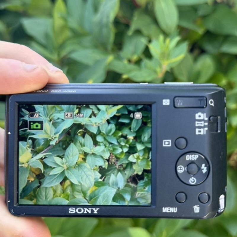 Sony DSC-W520 14.1MP Complete - Image 3