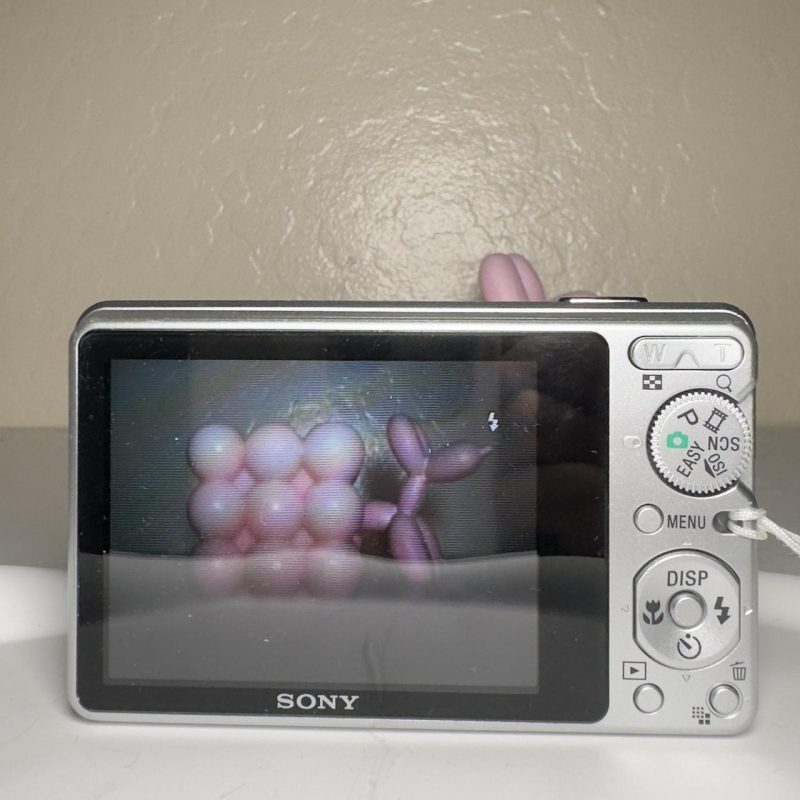 🐻 Sony Cybershot S950 Grey 🐻 - Image 4